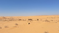 2024-10-09T12 31 35.690509600283.jpg