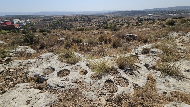 קובץ:2024-10-27T10 31 00.690451795992.jpg