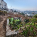 תמונה ממוזערת לגרסה מתאריך 05:40, 1 בנובמבר 2024