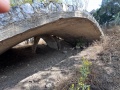 תמונה ממוזערת לגרסה מתאריך 08:57, 4 בנובמבר 2024