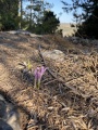 תמונה ממוזערת לגרסה מתאריך 06:13, 6 בנובמבר 2024