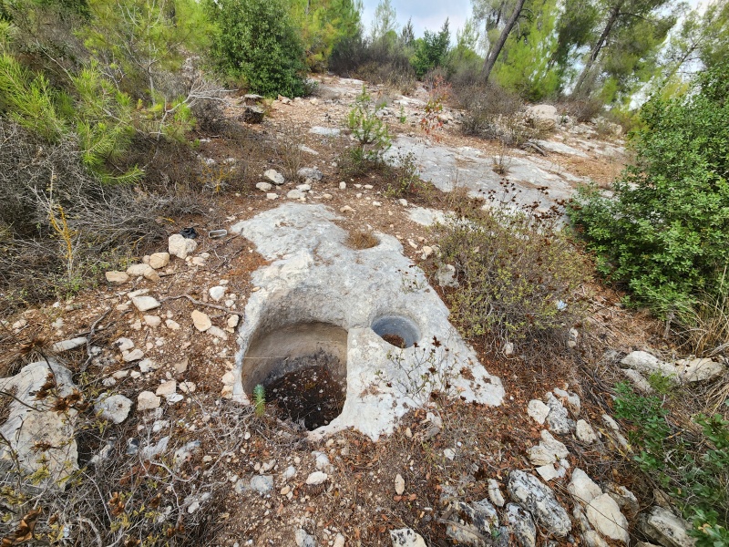 קובץ:2024-11-10T13 20 20.04344859091.jpg