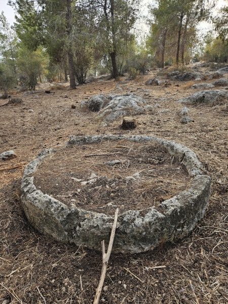 קובץ:2024-11-10T14 58 26.10482584567.jpg