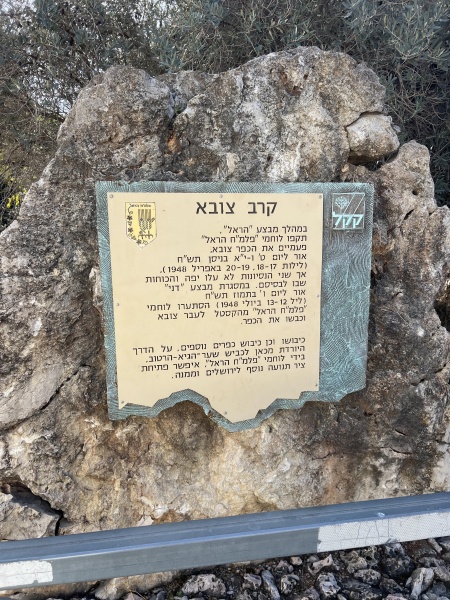 קובץ:2024-11-21T09 19 55.911993769632.jpg