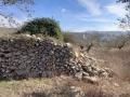 תמונה ממוזערת לגרסה מתאריך 14:00, 12 בדצמבר 2024