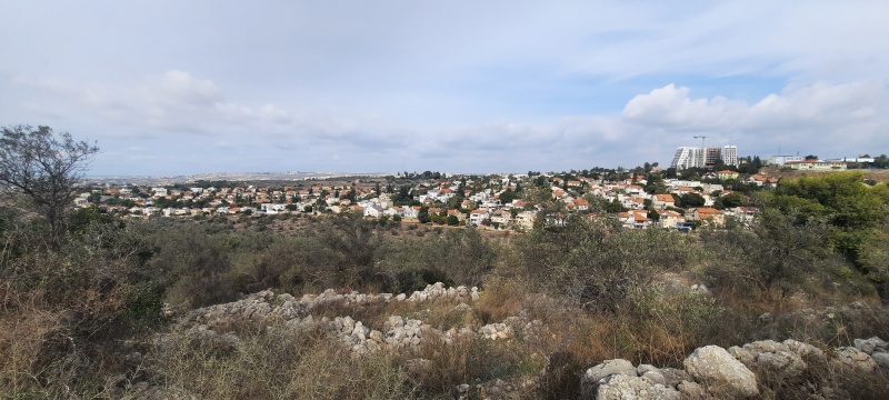 קובץ:2024-12-12T13 49 30.235201826005.jpg