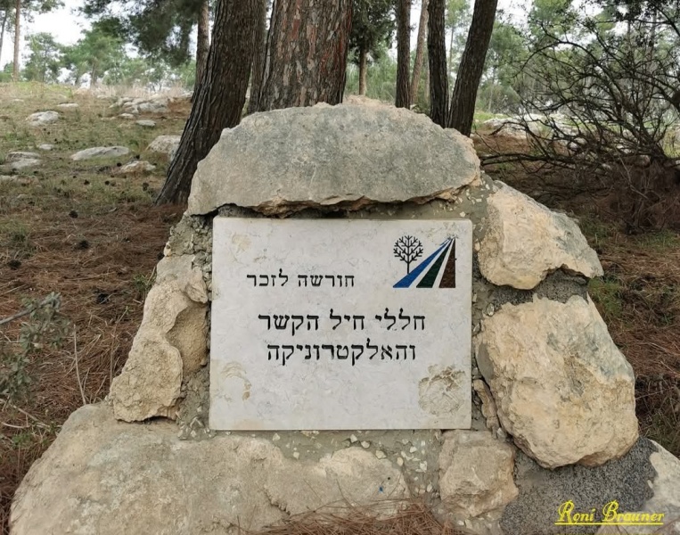 קובץ:2024-12-13T05 36 19.473453589367.jpg