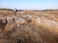 תמונה ממוזערת לגרסה מתאריך 08:22, 21 בדצמבר 2024