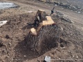 תמונה ממוזערת לגרסה מתאריך 07:43, 18 במאי 2024