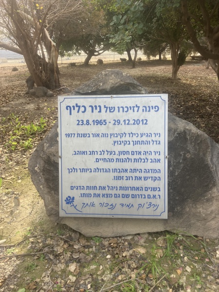 קובץ:2025-01-17T14 05 35.558816459177.jpg