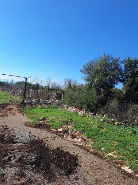 קובץ:2025-01-18T13 04 06.064821314476.jpg