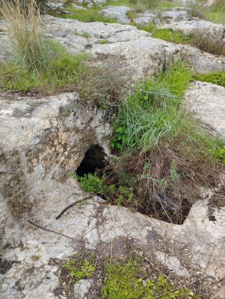קובץ:2025-01-24T12 31 04.363082870444.jpg