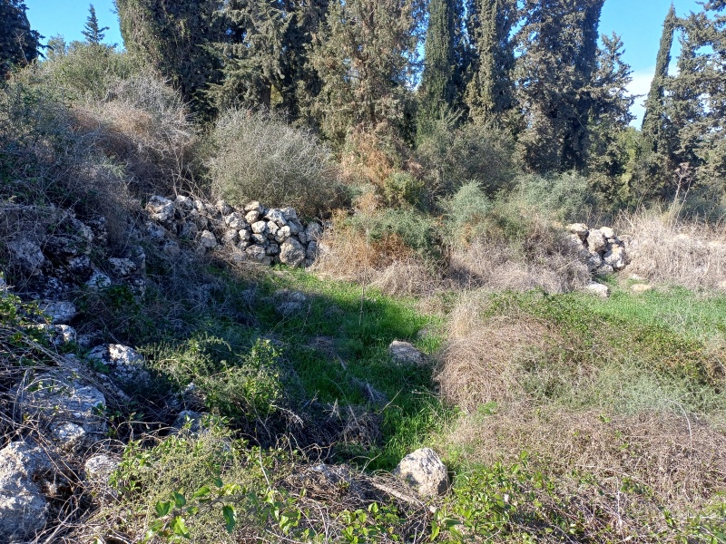 קובץ:2025-01-25T13 23 55.80289388814.jpg
