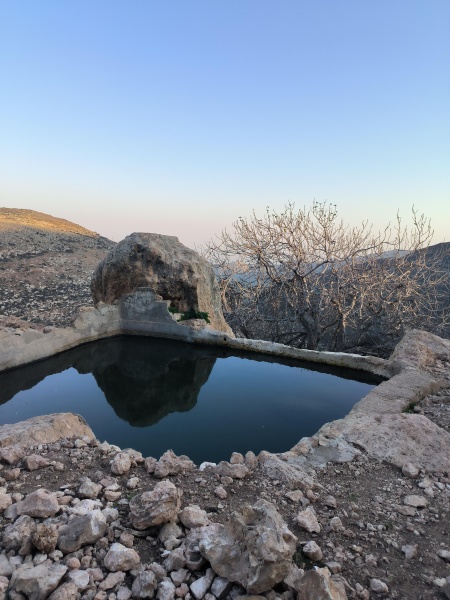 קובץ:2025-01-30T16 16 12.847551143670.jpg