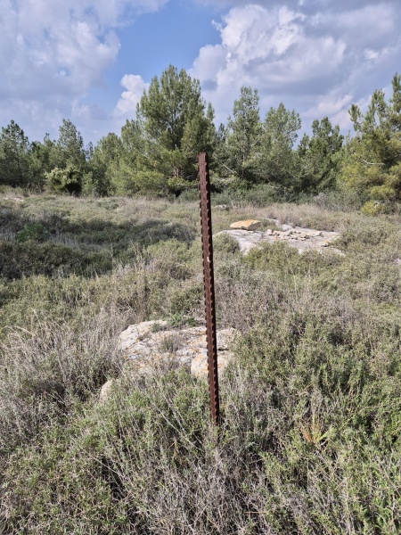 קובץ:2025-01-31T10 58 04.181840712199.jpg