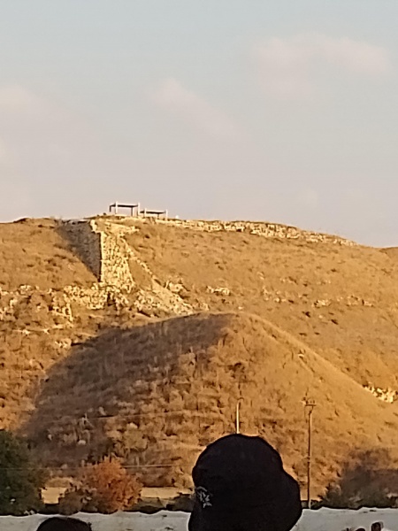 קובץ:2025-02-03T15 47 32.5967615723.jpg