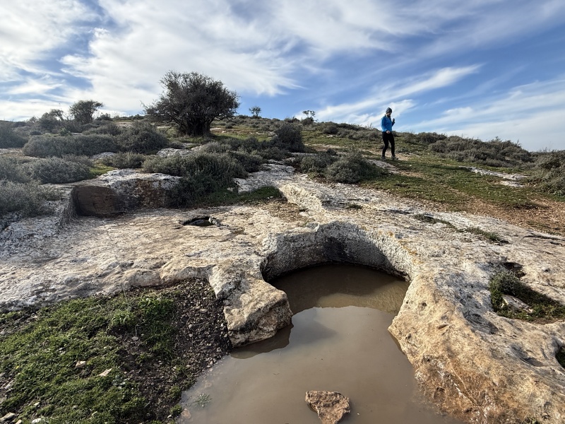 קובץ:2025-02-14T14 52 16.400289884188.jpg