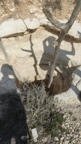 קובץ:2025-02-17T13 47 58.824216605452.jpg