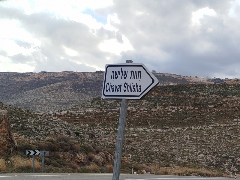 קובץ:2025-02-24T15 26 21.04379814880.jpg