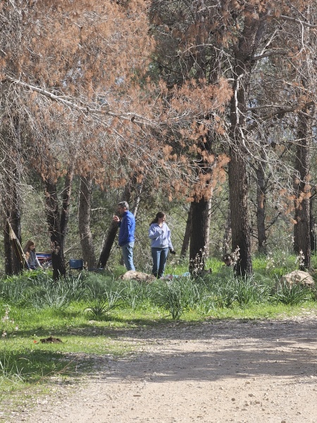 קובץ:2025-03-01T14 41 45.458616864393.jpg