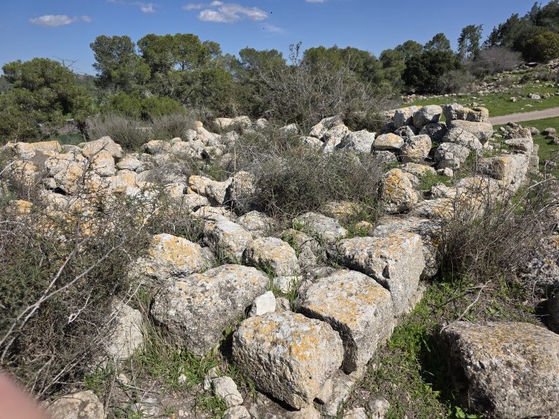 קובץ:2025-03-02T13 17 52.756838949873.jpg