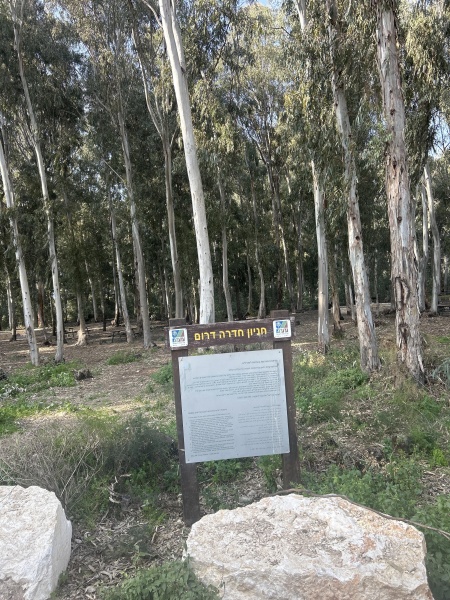 קובץ:2025-03-06T14 54 42.552809787569.jpg