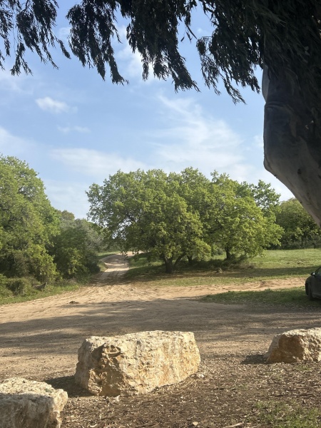 קובץ:2025-03-06T14 55 01.107104685924.jpg