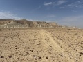 תמונה ממוזערת לגרסה מתאריך 08:58, 9 במרץ 2025