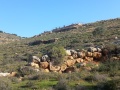 תמונה ממוזערת לגרסה מתאריך 07:02, 10 במרץ 2025