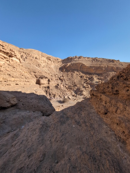 קובץ:2025-03-12T08 02 38.167900392771.jpg