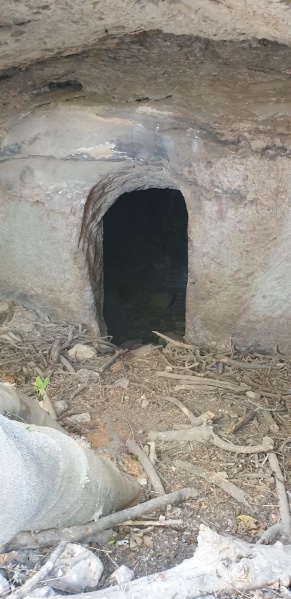 קובץ:2025-03-14T14 34 35.856998523371.jpg