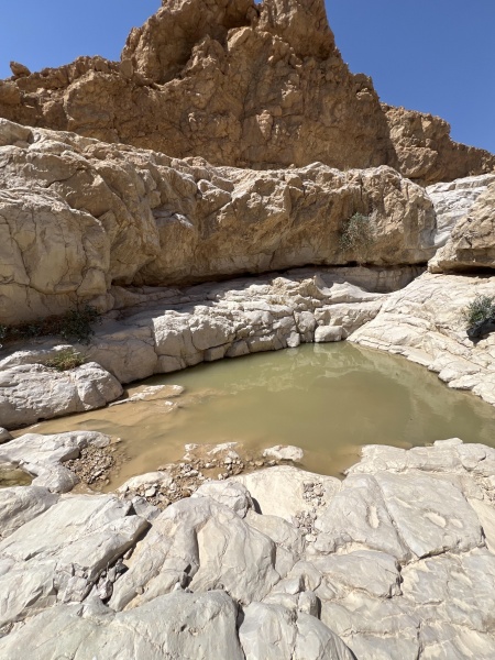 קובץ:2025-03-16T11 13 27.149901262649.jpg