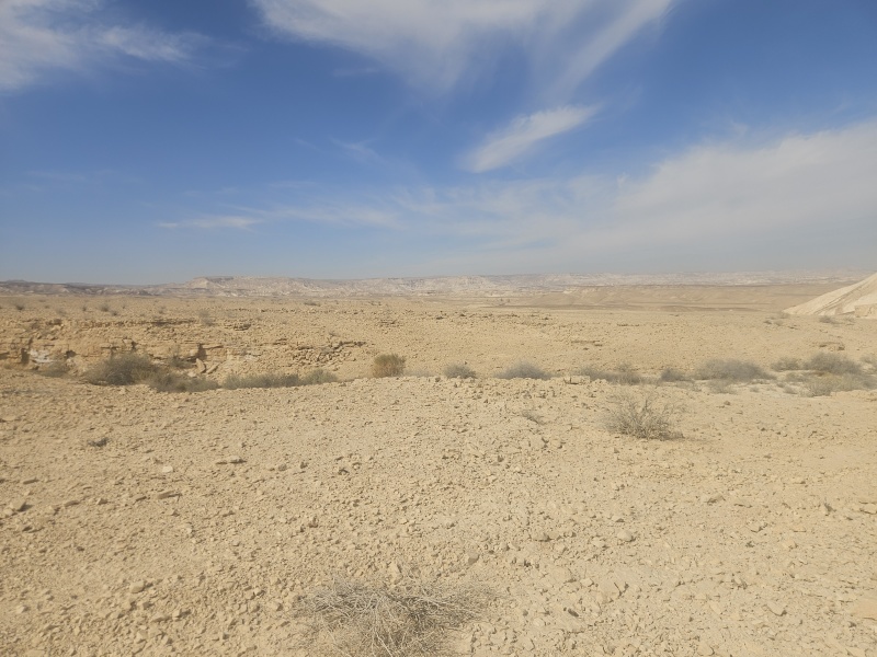 קובץ:2025-03-17T09 16 40.025433633170.jpg