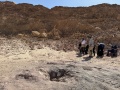 תמונה ממוזערת לגרסה מתאריך 15:43, 20 במרץ 2025