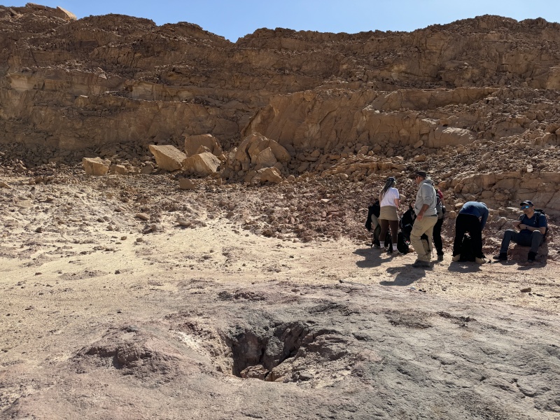 קובץ:2025-03-20T09 23 57.387485537289.jpg
