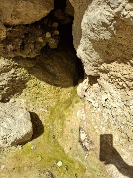 קובץ:2025-03-20T14 08 46.596439443477.jpg
