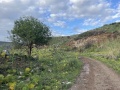 תמונה ממוזערת לגרסה מתאריך 14:15, 21 במרץ 2025