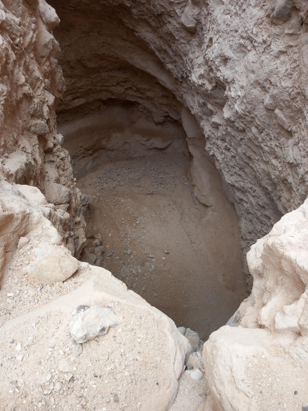 קובץ:2025-03-22T12 04 02.457257569861.jpg