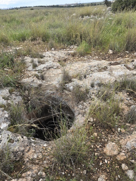 קובץ:2025-03-22T14 51 44.638191881089.jpg