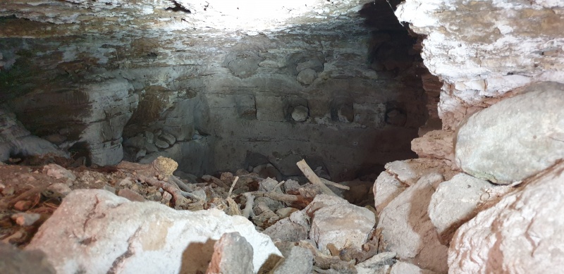 קובץ:2025-03-26T12 00 49.544413690564.jpg
