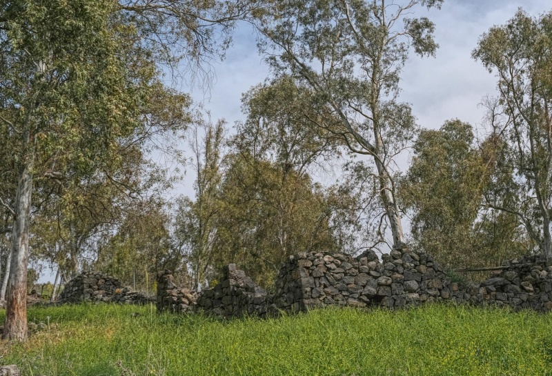 קובץ:2025-03-26T16 26 29.61490177406.jpg
