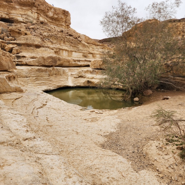 קובץ:2025-03-28T12 45 25.387111885466.jpg
