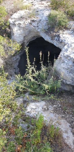 קובץ:2025-03-28T17 05 05.367318609089.jpg
