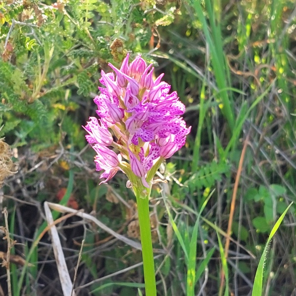 קובץ:2025-03-30T20 17 50.160036843799.jpg