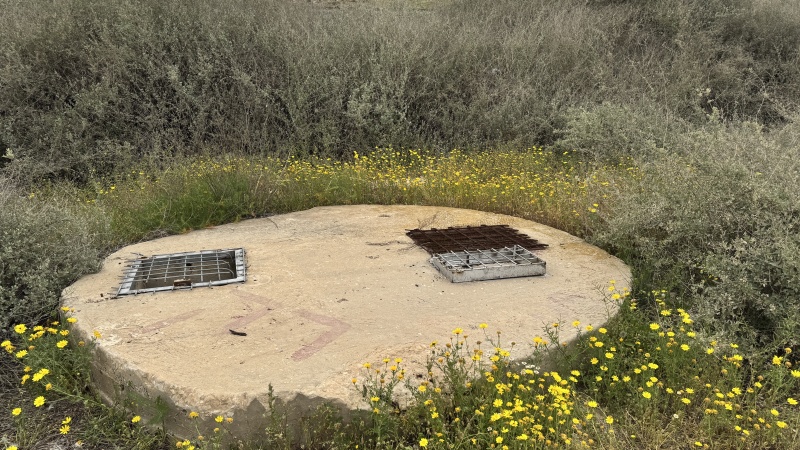 קובץ:2025-04-01T15 49 44.957206371951.jpg