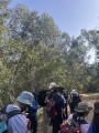 תמונה ממוזערת לגרסה מתאריך 06:05, 2 באפריל 2025