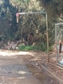 תמונה ממוזערת לגרסה מתאריך 18:31, 2 באפריל 2025