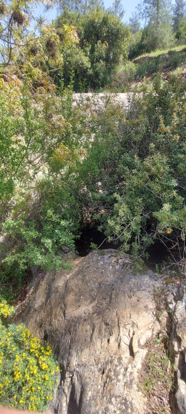 קובץ:2025-04-02T12 28 39.865751507754.jpg