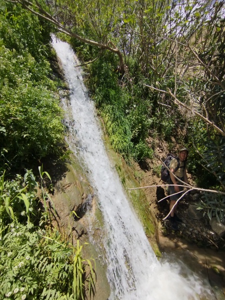 קובץ:2025-04-02T12 58 44.253747826847.jpg