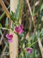 תמונה ממוזערת לגרסה מתאריך 11:24, 3 באפריל 2025